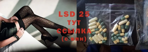 спиды Пересвет