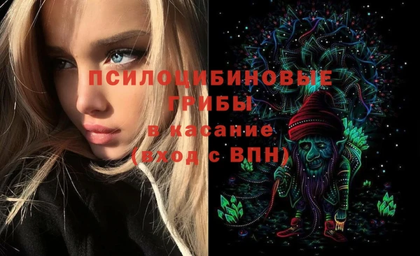 первитин Ладушкин