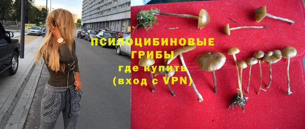 хмурый Лиски