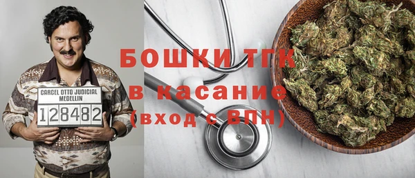 прущие грибы Лагань